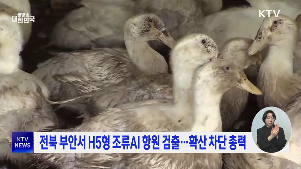 전북 부안서 H5형 조류AI 항원 검출···확산 차단 총력