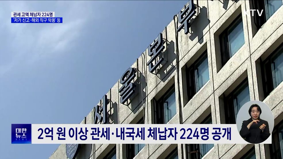 '저가 신고·해외 직구 악용'···관세 고액 체납자 224명 공개
