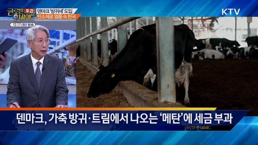 주간 글로벌 인사이트 (15회)