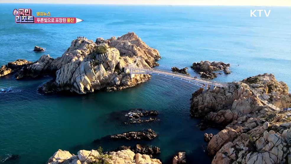 푸른빛으로 포장된 울산 [한국의 美]