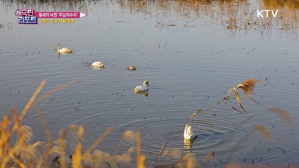 천연기념물 철새들의 보고 '주남저수지'