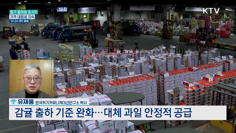 '겨울 과일' 딸기·귤, 폭염 탓에 가격 올랐다?