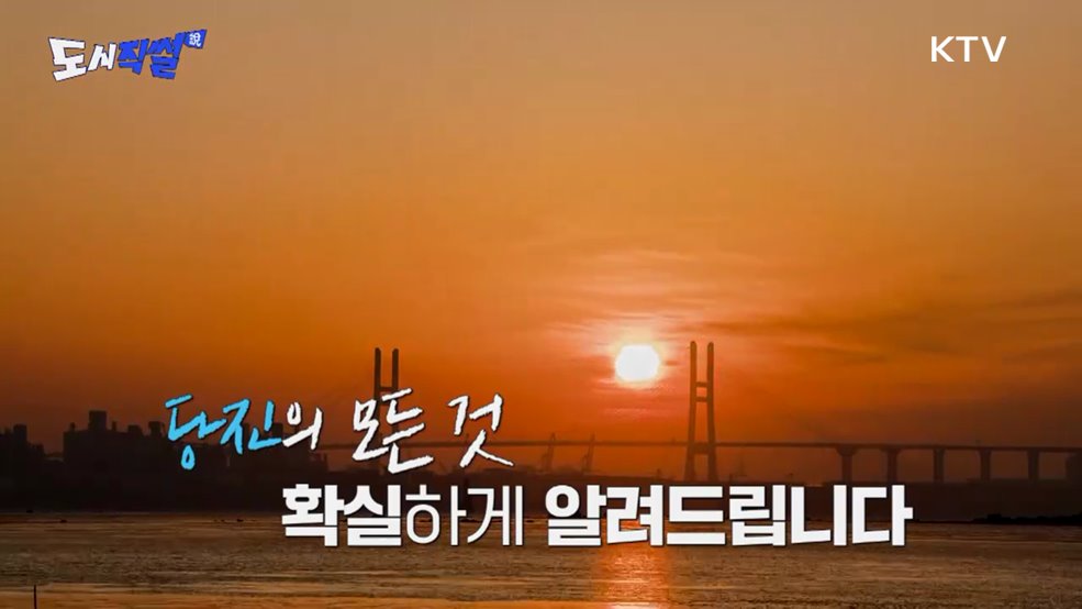 당진. 당나라. 박정희 대통령 서거 그리고 현대제철?! 무슨 관계?