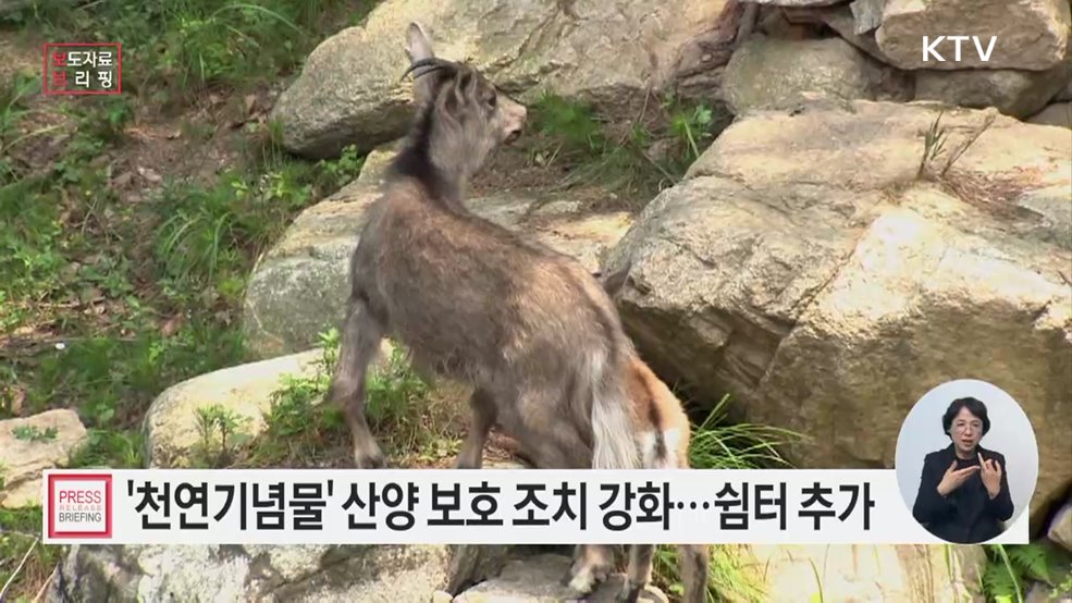 동절기 산양 보호 조치 강화