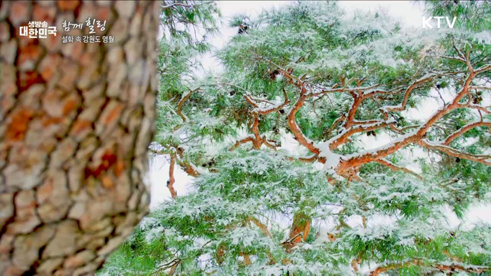 설화 속 강원도 영월 [함께 힐링]