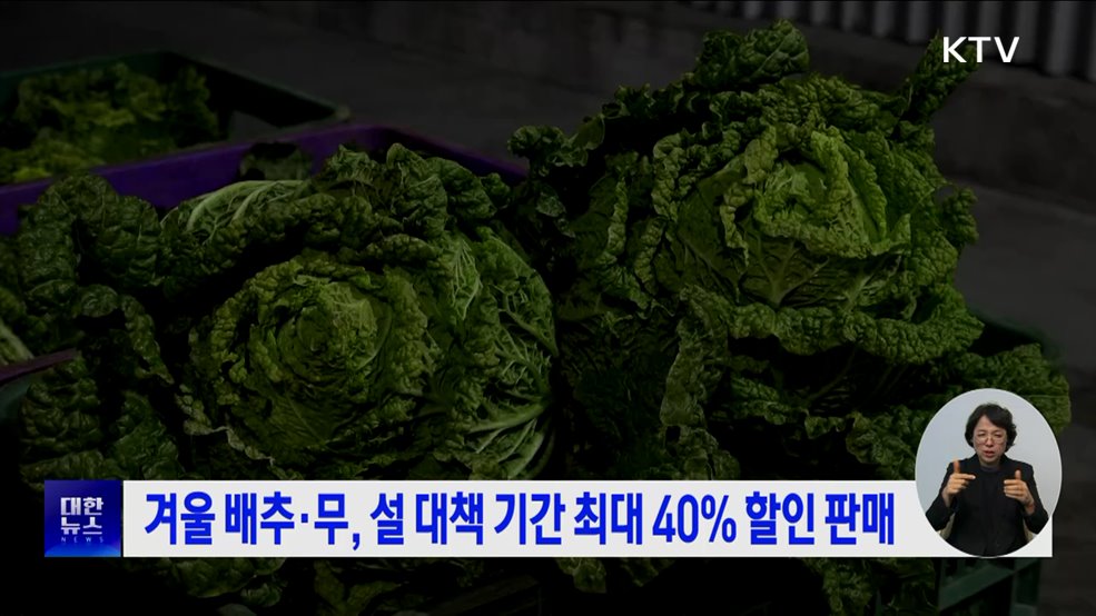 겨울 배추·무, 설 대책 기간 최대 40% 할인 판매