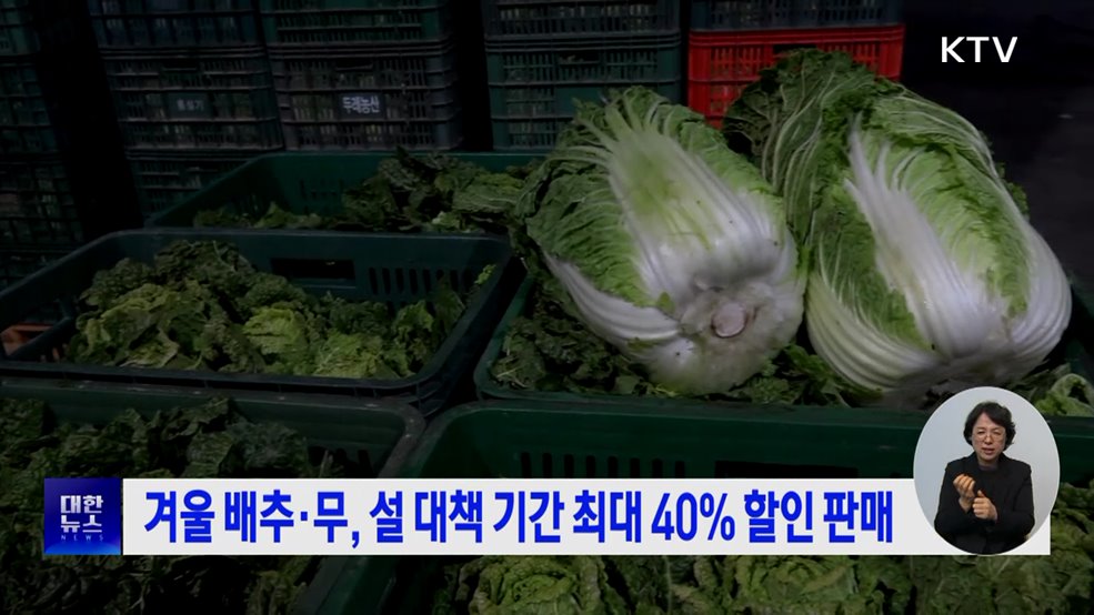 겨울 배추·무, 설 대책 기간 최대 40% 할인 판매