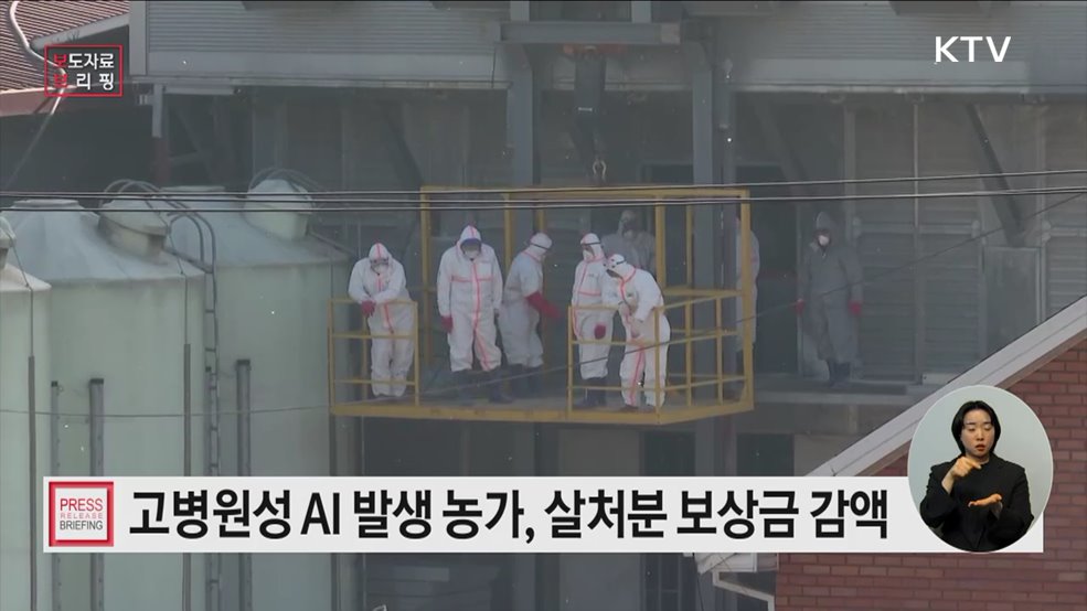 고병원성 조류인플루엔자 발생 농가는 살처분 보상금 대폭 감액한다