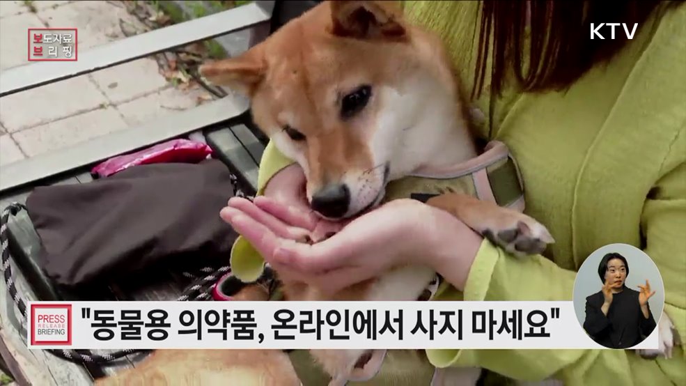 '동물용 의약품 온라인 판매는 불법' 동물병원·동물약국 등에서 구매하세요