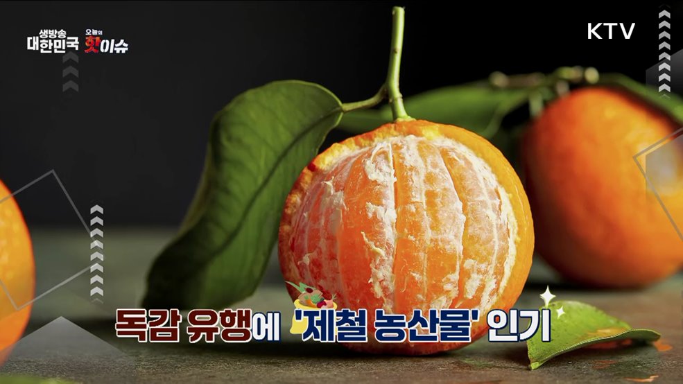 오늘의 핫이슈 (25. 01. 08. 10시)