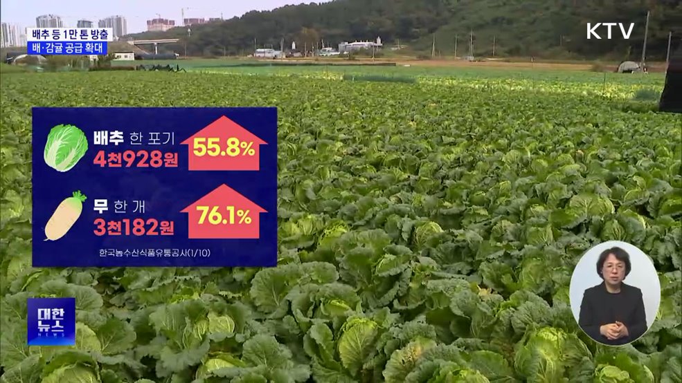 배추 등 농산물 1만 톤 방출···배·감귤 공급 확대