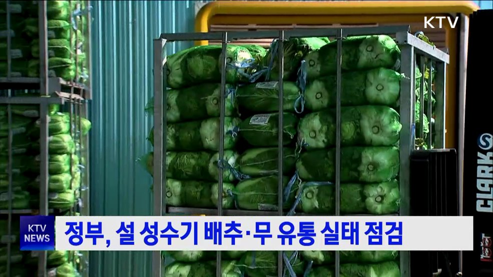 정부, 설 성수기 배추·무 유통 실태 점검