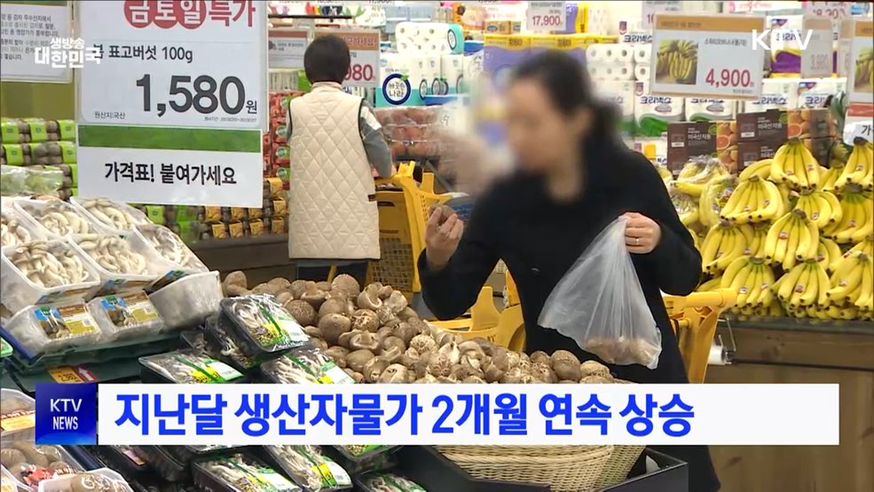 지난달 생산자물가 2개월 연속 상승