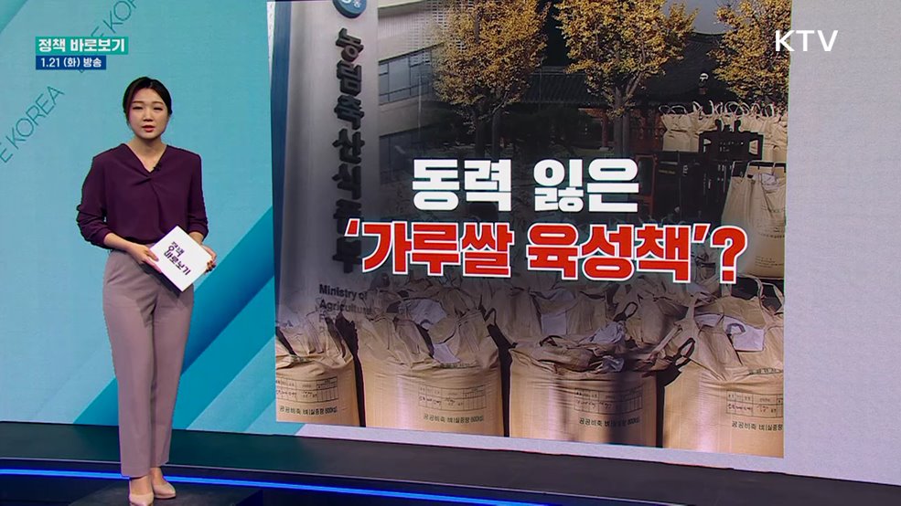 동력 잃은 '가루쌀 정책'? 사실은
