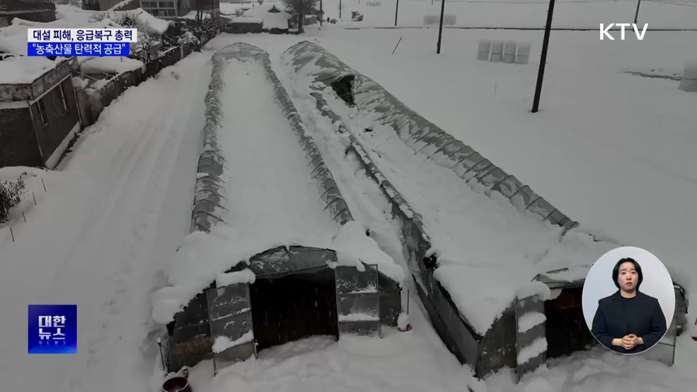설 연휴 대설 피해에 응급복구 총력···"농축산물 탄력적 공급"