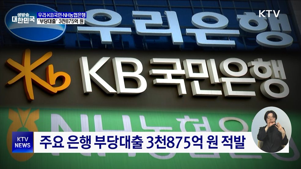 우리·KB국민·NH농협 '부당대출' 3천875억 원 적발