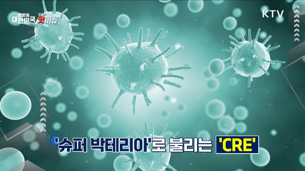 오늘의 핫이슈 (25. 02. 04. 11시)