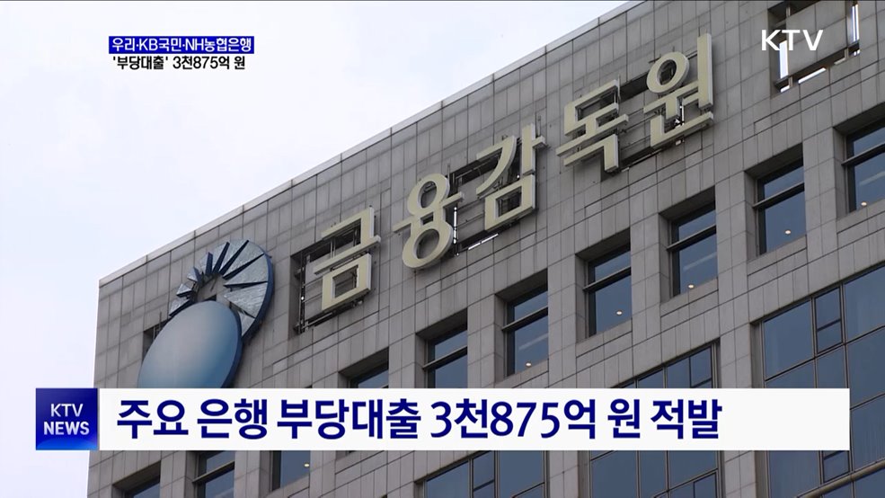 우리·KB국민·NH농협 '부당대출' 3천875억 원 적발