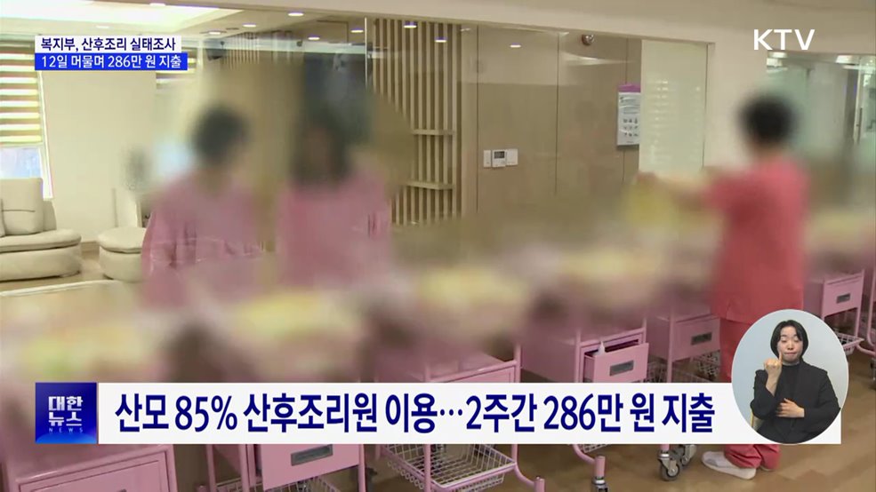 "12일 머물며 286만 원 지출"···산후조리 실태조사