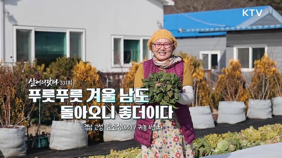 푸릇푸릇 겨울 남도 돌아오니 좋더이다