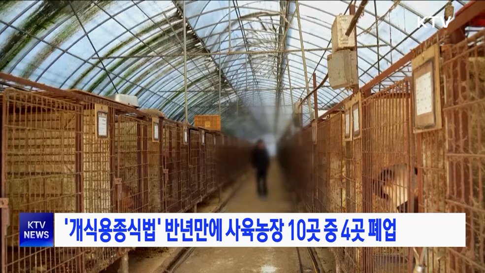 '개식용종식법' 반년만에 사육농장 10곳 중 4곳 폐업