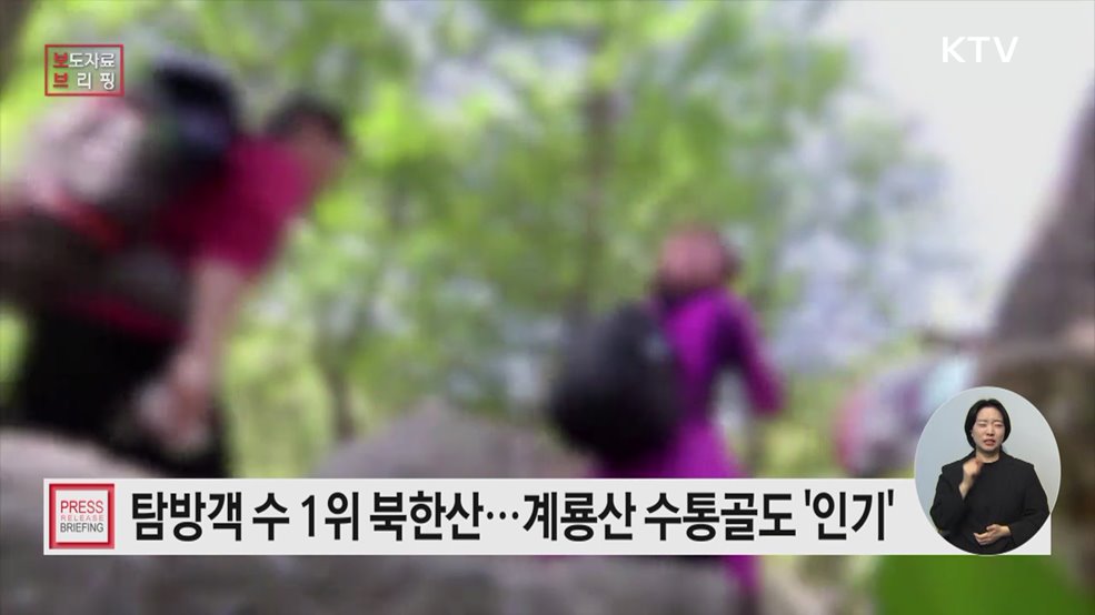 국립공원 탐방객 5년 만에 4천만 명 회복