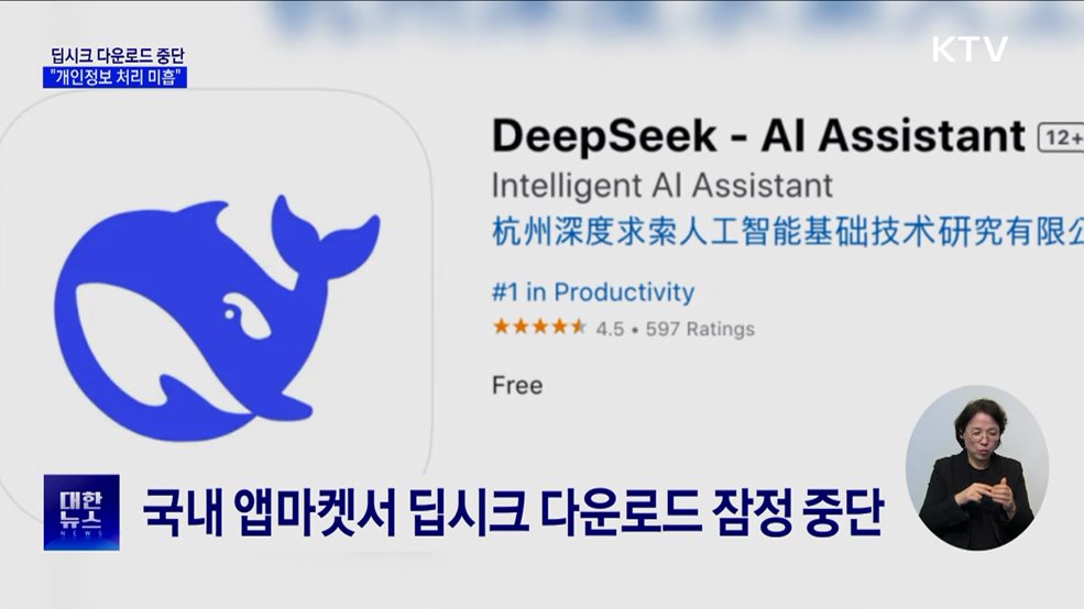딥시크 신규 앱 다운로드 중단···"개인정보 처리 미흡"
