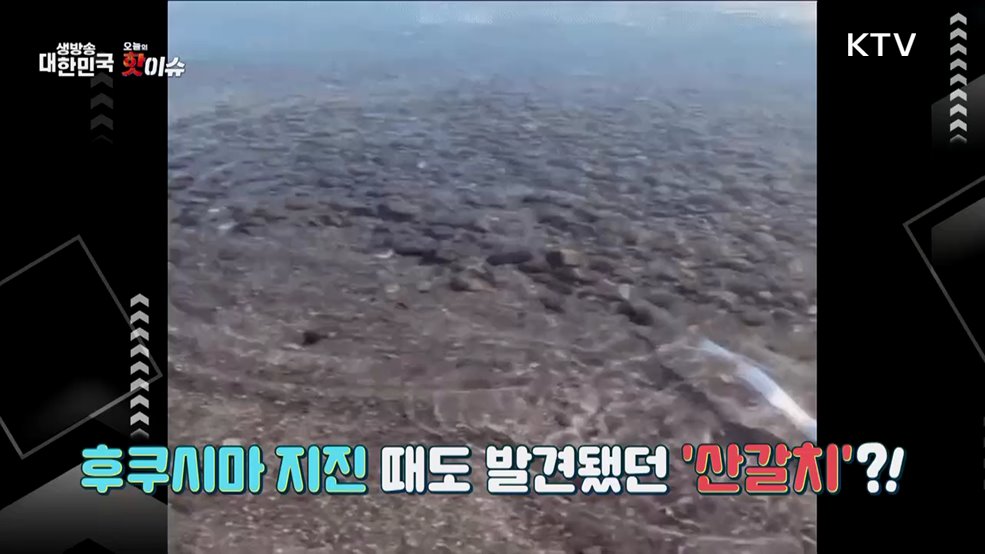 오늘의 핫이슈 (25. 02. 20. 11시)