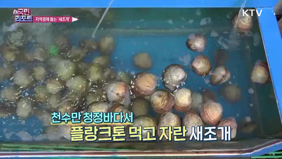 지역경제 도와요, 새조개 축제 관광객 이어져