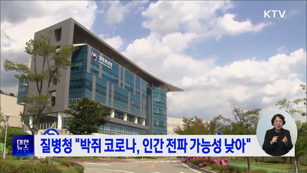 질병청 "박쥐 코로나, 인간 전파 가능성 낮아"