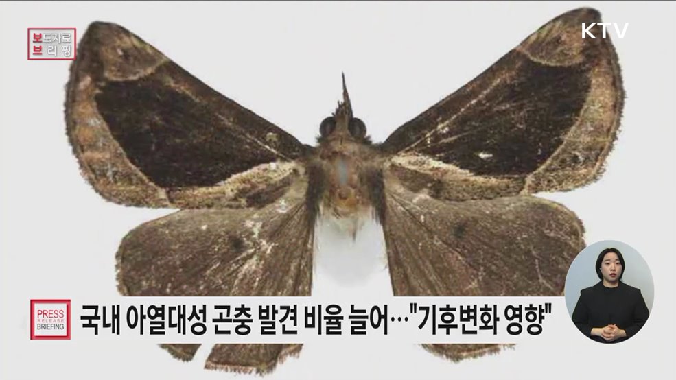 신종·미기록종 아열대성 곤충 발견 비율 늘어났다