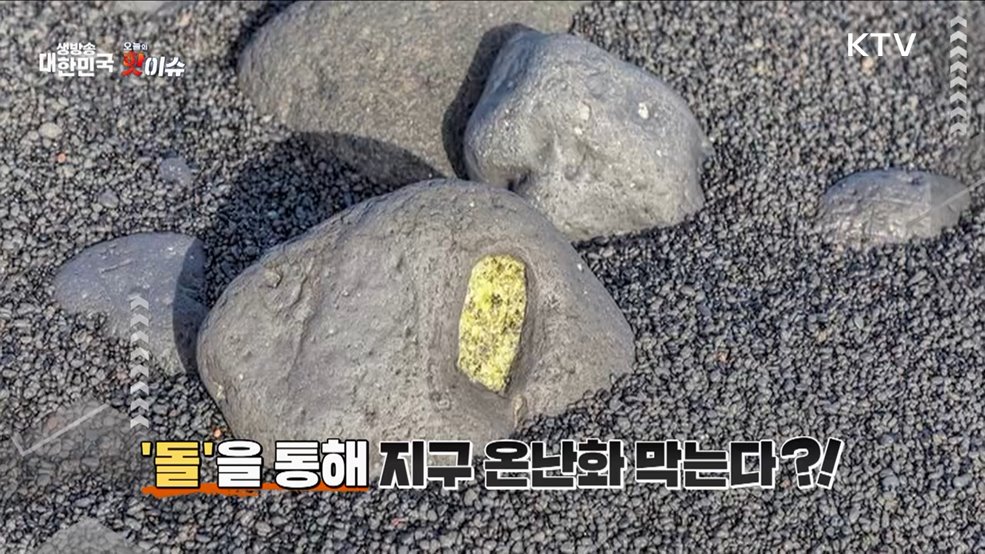 오늘의 핫이슈 (25. 02. 26. 11시)