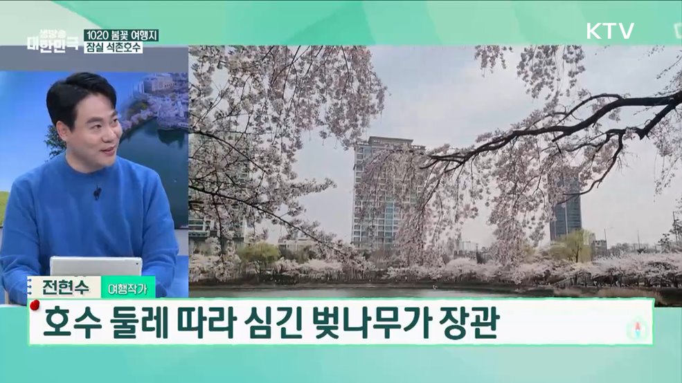 놓치면 후회하는 봄꽃 여행지 축제·포토존·먹거리 총정리! [여행을 떠나요]