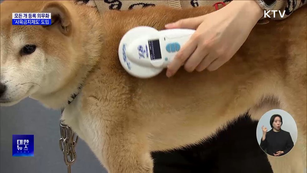 개 등록 의무화···동물 학대자 '사육금지' 추진