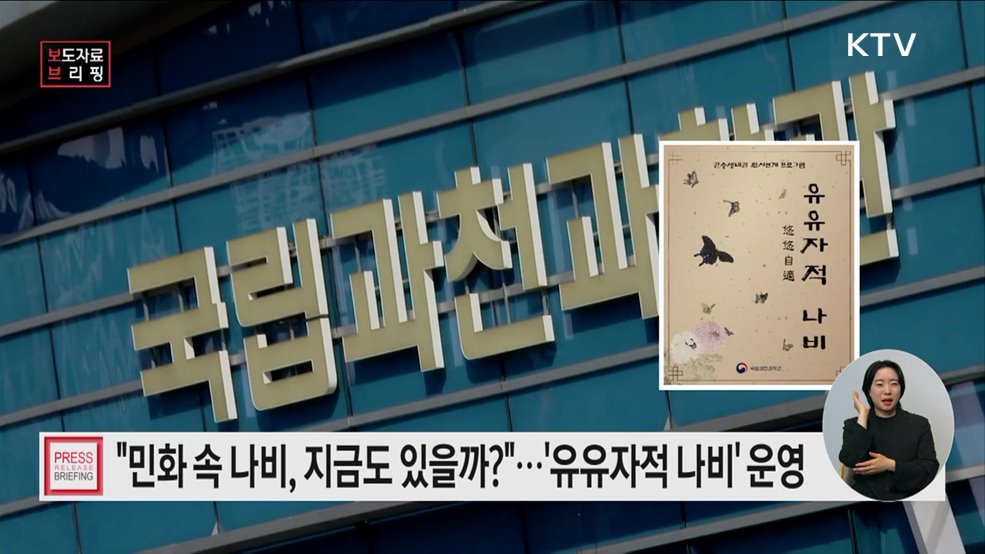 나비의 시간여행, '유유자적 나비' 프로그램 운영