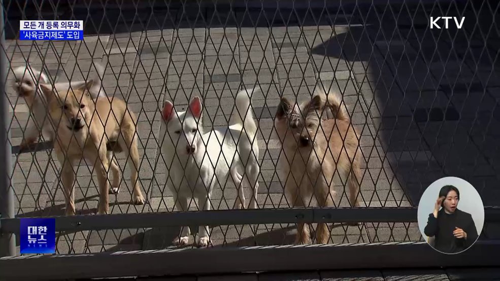 개 등록 의무화···동물 학대자 '사육금지' 추진