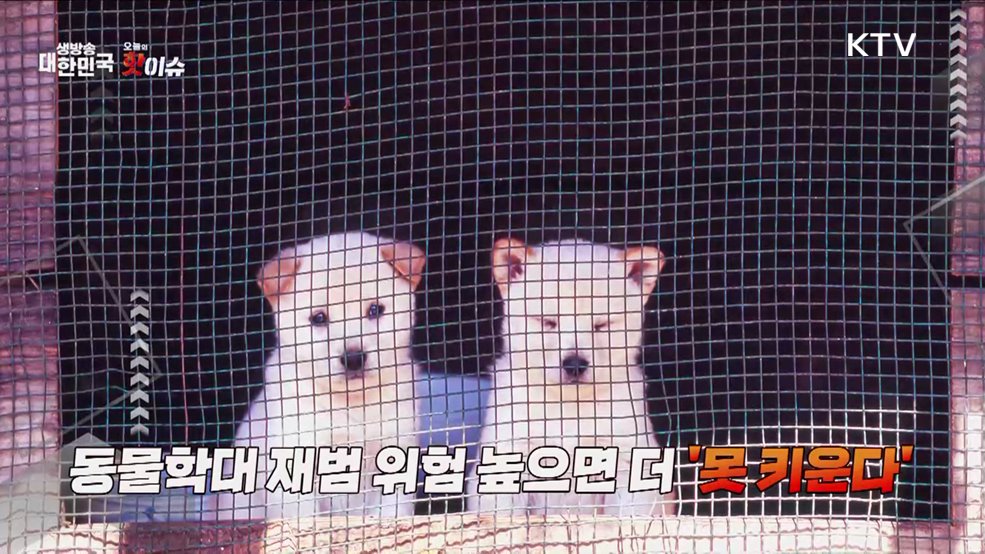 오늘의 핫이슈 (25. 02. 28. 11시)