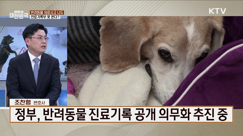 개 물림·이웃 갈등 증가···반려동물 분쟁 대처법은? [잘 사는 법]