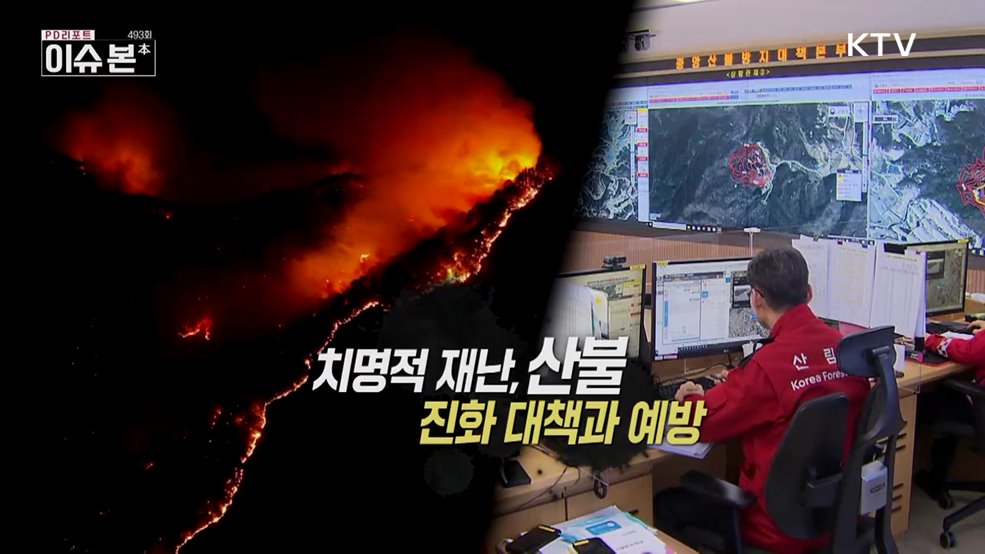 치명적 재난, 산불 진화 대책과 예방