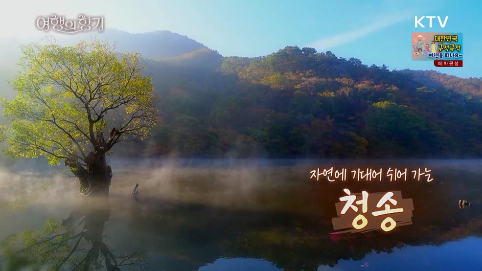 자연에 기대어 쉬어가는, 청송