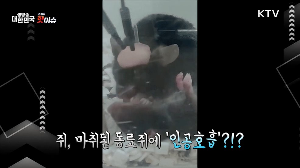 오늘의 핫이슈 (25. 03. 05. 11시)