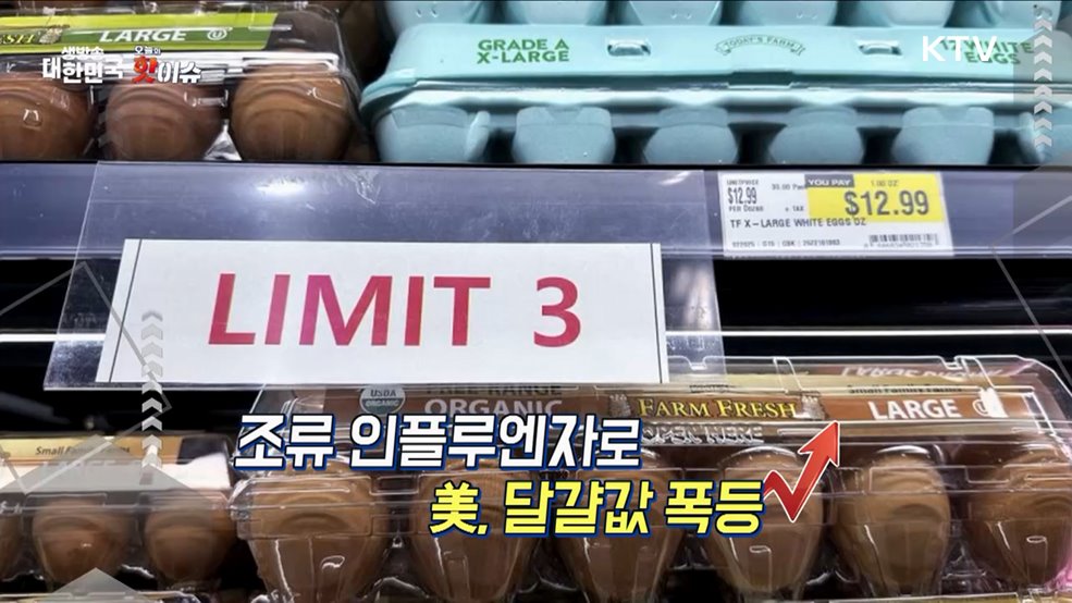 오늘의 핫이슈 (25. 03. 06. 11시)