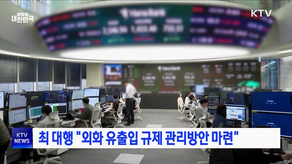 최 대행 "외화 유출입 규제 관리방안 마련"