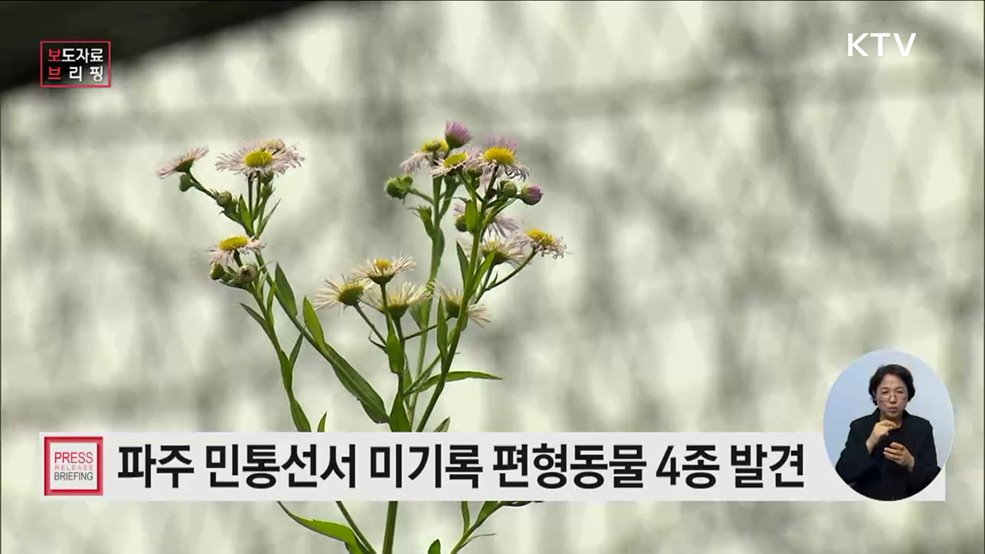 민통선 내에서 미기록 편형동물 4종 발견