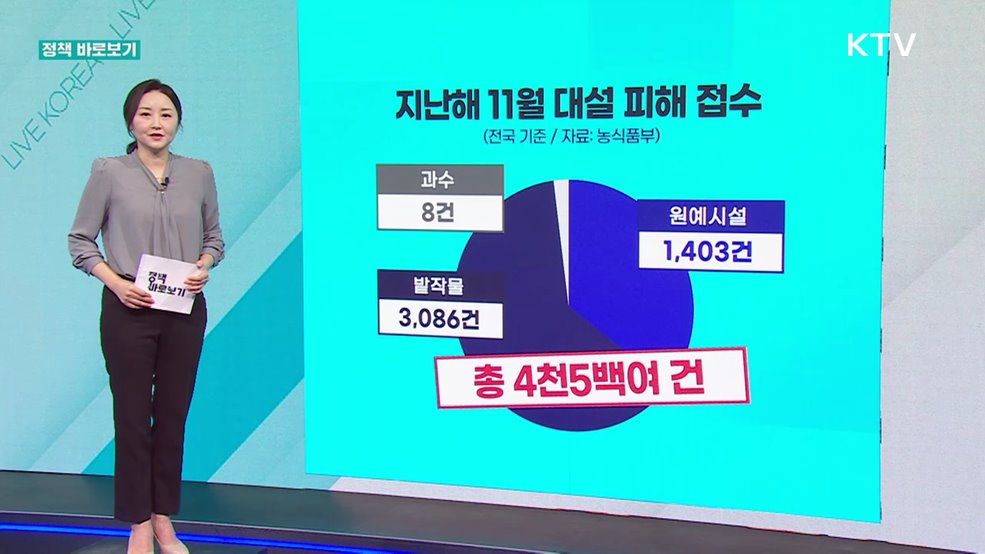 정책 바로보기 (604회)