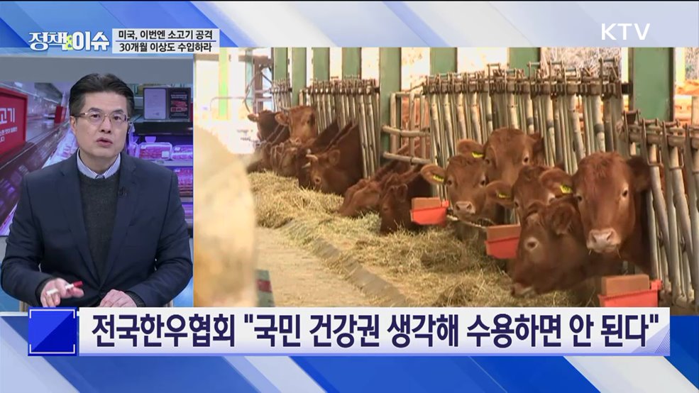 생방송 정책&이슈 (529회)