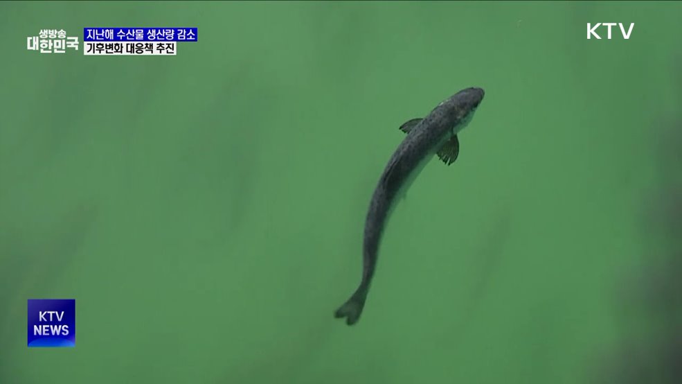 수산물 생산량 감소···스마트 양식장으로 기후변화 대응