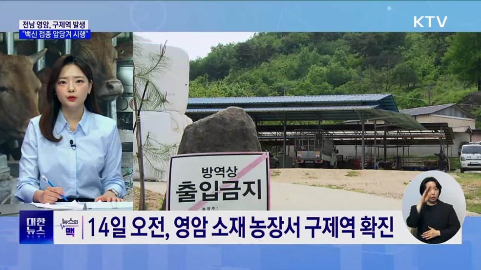전남 영암서 구제역 발생···"백신 앞당겨 접종" [뉴스의 맥]