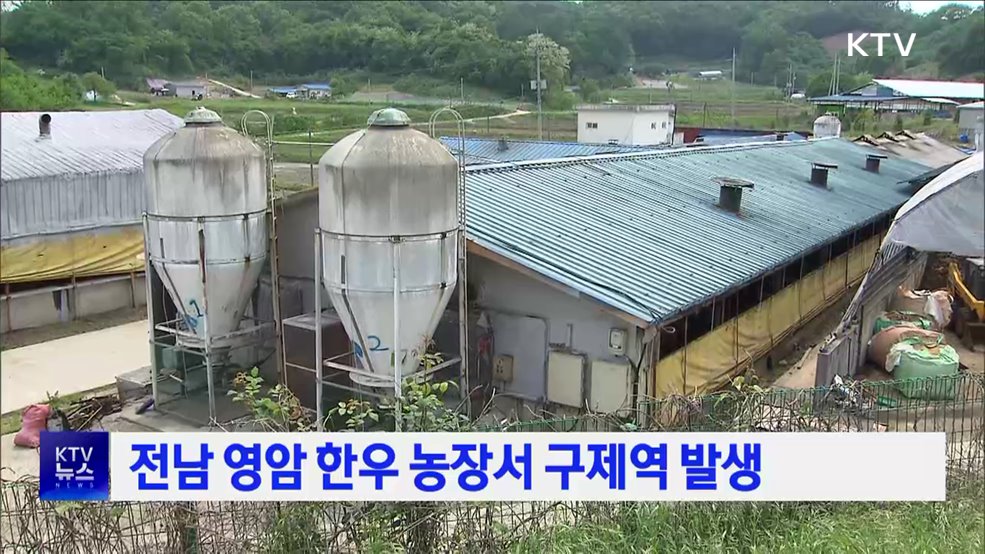 전남 영암 한우 농장서 구제역 발생