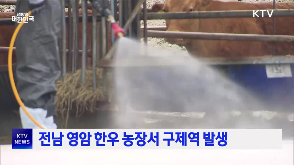 전남 영암 한우 농장서 구제역 발생